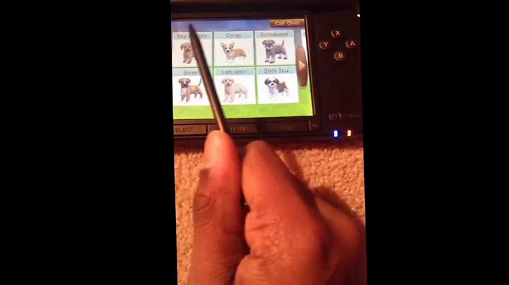 How to restart your nintendogs +cats