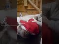 santa claus se queda dormido #christmas #navidad #santa #funny