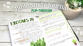 May Bible Study Journal Flip Through | Christian Bullet Journal Flip Through
