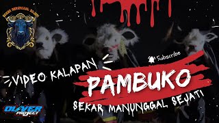 DJ BANTENGAN | PAMBUKO | SEKAR MANUNGGAL SEJATI - TIM MOBAT MABIT - REMIX BY OLIVER PROJECT