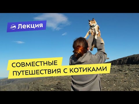 Видео: Pet Scoop: Котенок переживает поездку по Европе на грузовике, Кристен Стюарт борется за опеку