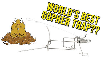 Worlds Best Gopher Trap