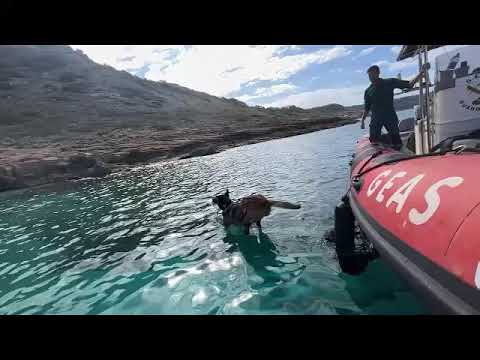 La Guardia Civil de Mallorca presenta a Hanoi