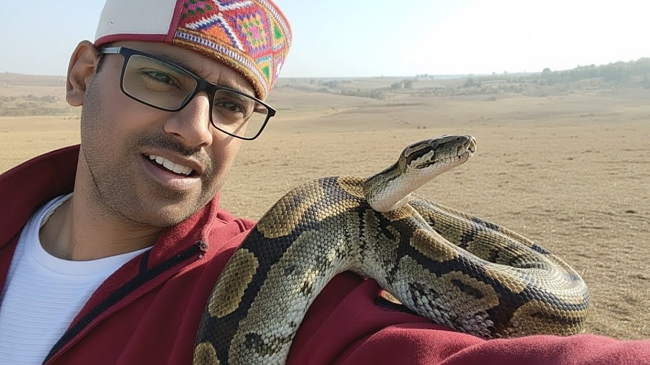 Mere Ghar ke Piche Nikla Python 😱🐍