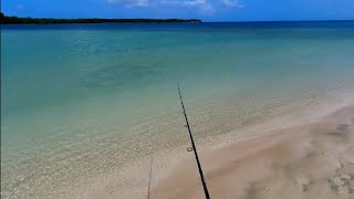 Fishing In Paradise | Tobago Fishing