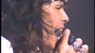 aerosmith - fine live