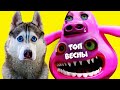 ЛУЧШИЕ СЕРИИ ВЕСНЫ ПОДРЯД!! (Хаски Бандит) говорящая собака
