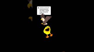 el pollo es libre 😭 #memes #plucky #carcel #liberado @JaminCardenas-dr1el #aguila