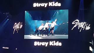 STRAY KIDS Intro & Side Effects - Kcon L.A 2019
