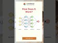 Understanding Neural Networks in 60 Seconds