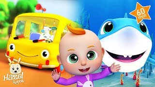 Baby Shark, Bingo, Wheels on The Bus & More Nursery Rhymes & Kids Songs | MiniBus