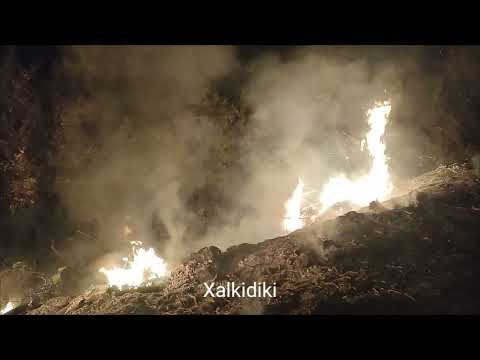 @politikixalkidiki #halkidiki #χαλκιδική #fire #Όλυνθος @grafeiotypoups @pyrosvestiko_soma