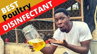 Best Poultry Disinfectant to Prevent Poultry Diseases