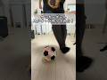 サッカーボールスクイーズ作ってみた!#shorts #スクイーズ #ワールドカップ