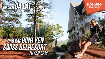Đôi Mèo in Đà Lạt | Trải nghiệm Swiss BelResort Cao cấp bình yên | Đôi Mèo Phiêu Lưu Ký