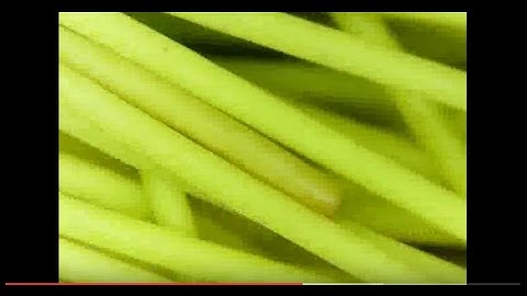 Can You Guess What This Zoomed in Object Is? EVERYDAY OBJECTS UNDER MICROSCOPE