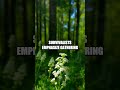 Mastering Survival with Natural Medicinal Plants