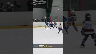 #5 Jay Gardner Goal | Sciphyn vs Houston Ice Dragons | 10U 2026-02-16 #shorts