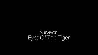 Eyes Of The Tiger - Survivor (TEST) screenshot 5