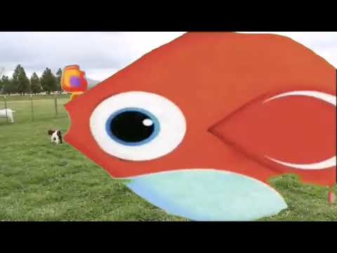 فاصل براعم دعاية الماعز 11 في نام القمر 2011 2012 2013 2014 2015 2016 