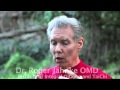 Primordial Qigong Movement.mp4