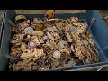 I Found A Very Big Treasure❗Treasure Hunting In Metal Detector treasure hunting