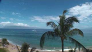 Whaler701.wmv