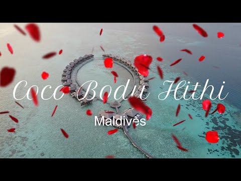 Video: Paradise-lignende Coco Palm Bodu Hithi Resort, Maldiverne