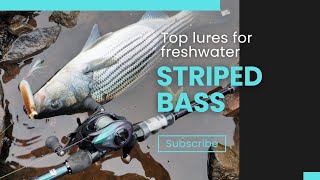 The BEST lures to target freshwater STRIPED BASS