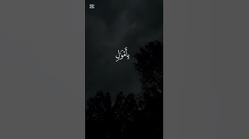 #القرأن #القرأن_الكريم #quran #محمد_اللحيدان #سورة_نوح #quran_alkarim #fyp #youtube