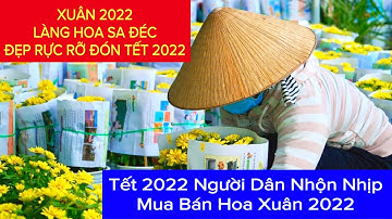 🌼 Làng Hoa Sa Đéc Đẹp Rực Rỡ Đón Xuân 2022 Người Dân Nhộn Nhịp Mua Bán Tết 2022 | Khương Nhựt Minh