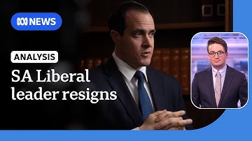 SA Liberal leader resigns three months before election | ABC NEWS