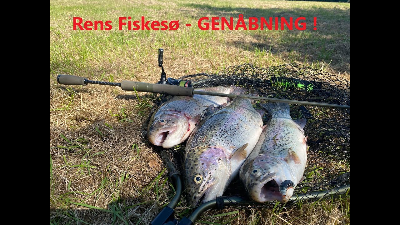 Rens Fiskes GEN BNING Put And Take Fishing YouTube Rens fiskes gen bning put and take fishing youtube