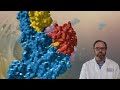 What are Multispecific Drugs?