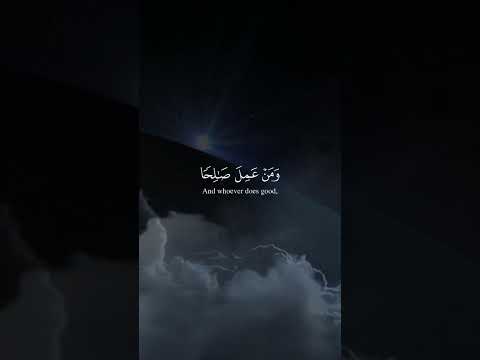 م ن ع م ل س ي ئ ة ف ل ا ي ج ز ى إ ل ا م ث ل ه ا