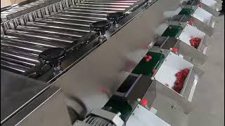 cherry tomato sorting machine, cherry tomatoes grading machine by anna Wang 33 views 3 weeks ago 1 minute