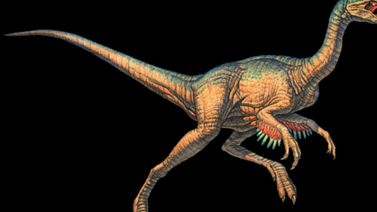 Овираптор динозавр картинки