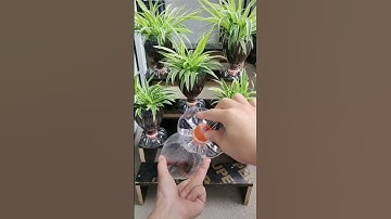 DIY | Quick & Easy Flower Pots With Plastic Bottles