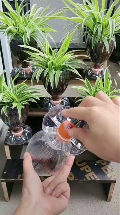 DIY | Pot Bunga Cepat & Mudah Menggunakan Botol Plastik