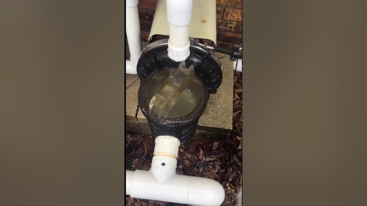 How to Fix Air Bubbles In Swimming Pool YouTube