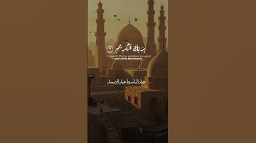 يا أيها الإنسان ما غرك بربك الكريم 💔 | تلاوة تهز القلب بصوت الشيخ عبد الباسط عبد الصمد