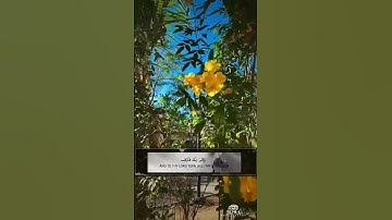 سوره الشرح / حالات واتس اب