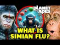 What Is Simian Flu In Planet Of The Apes Series That Obliterated Humans And Devolved Them?
