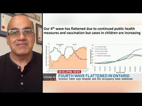 Ontario is successfully flattening fourth wave of COVID-19: modelling