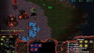 [Live] 스타팀플헌터 myth.argos starcraft Hunter Teamplay [2026-05-14]