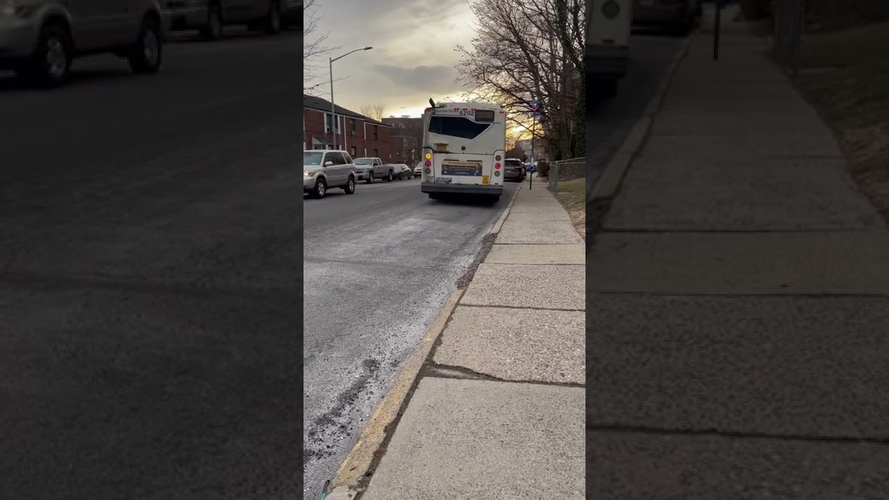 MTA Next Gen 4202 Flushing Main Street bound Q28 bus