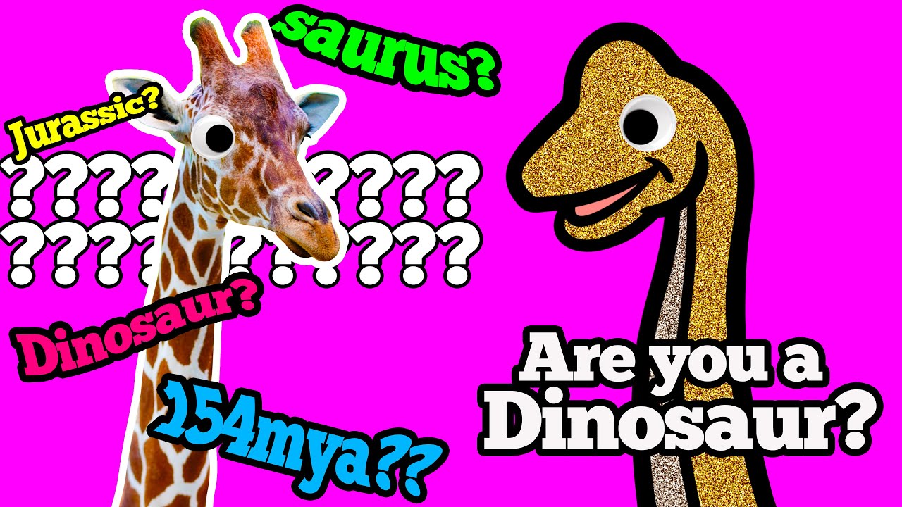 Hello everything. Suzie: hello john. Squarepusher apple music. Martin kong. Hello everything.