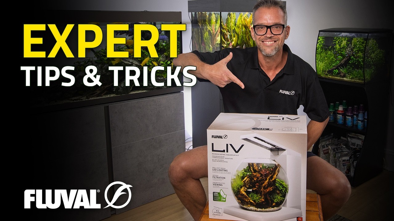 George Farmer Sets Up a Stunning Liv Aquarium Kit