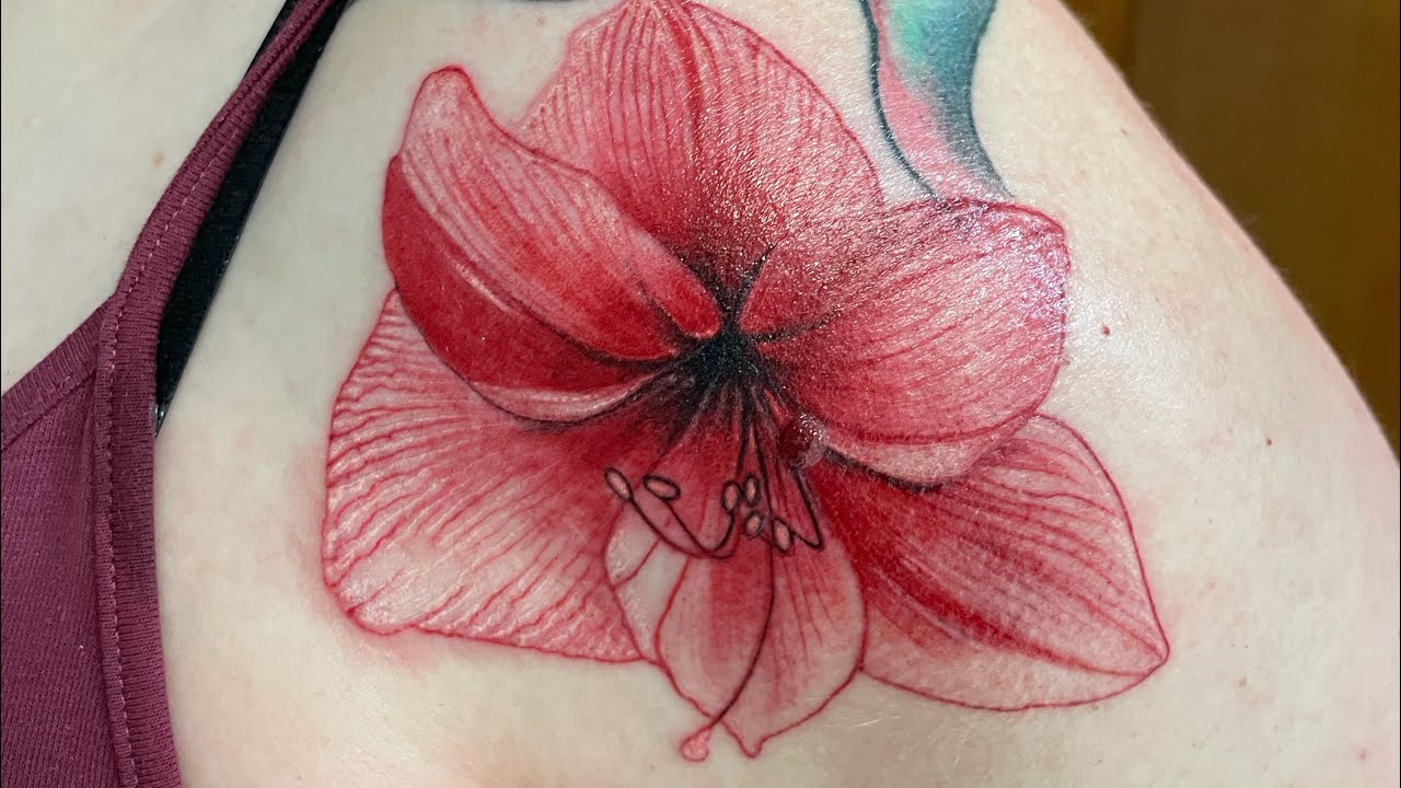 The Amaryllis Flower Tattoo Time Lapse