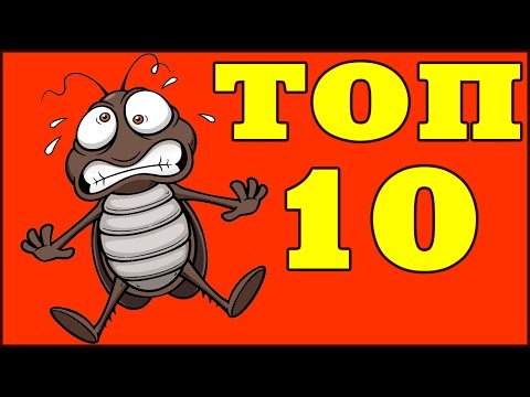 ТОП 10 ФАКТОВ О ТАРАКАНАХ
